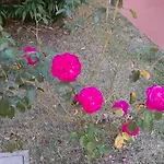 فيلة 3 Floors Independent Garden And Garage